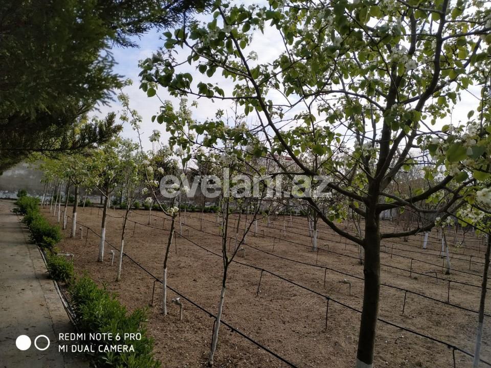 Sale, land, 150 ar, Bilgah d.