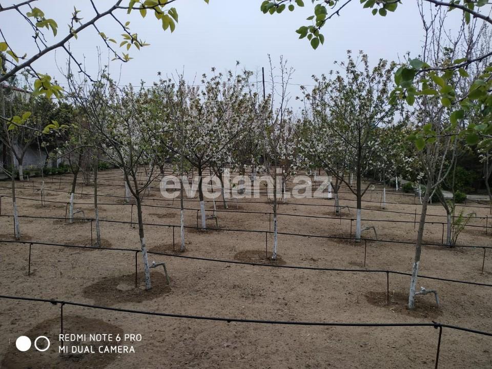 Sale, land, 150 ar, Bilgah d.