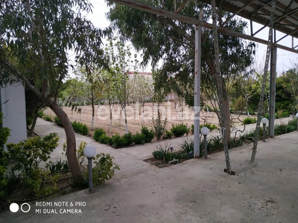 Sale, land, 150 ar, Bilgah d.