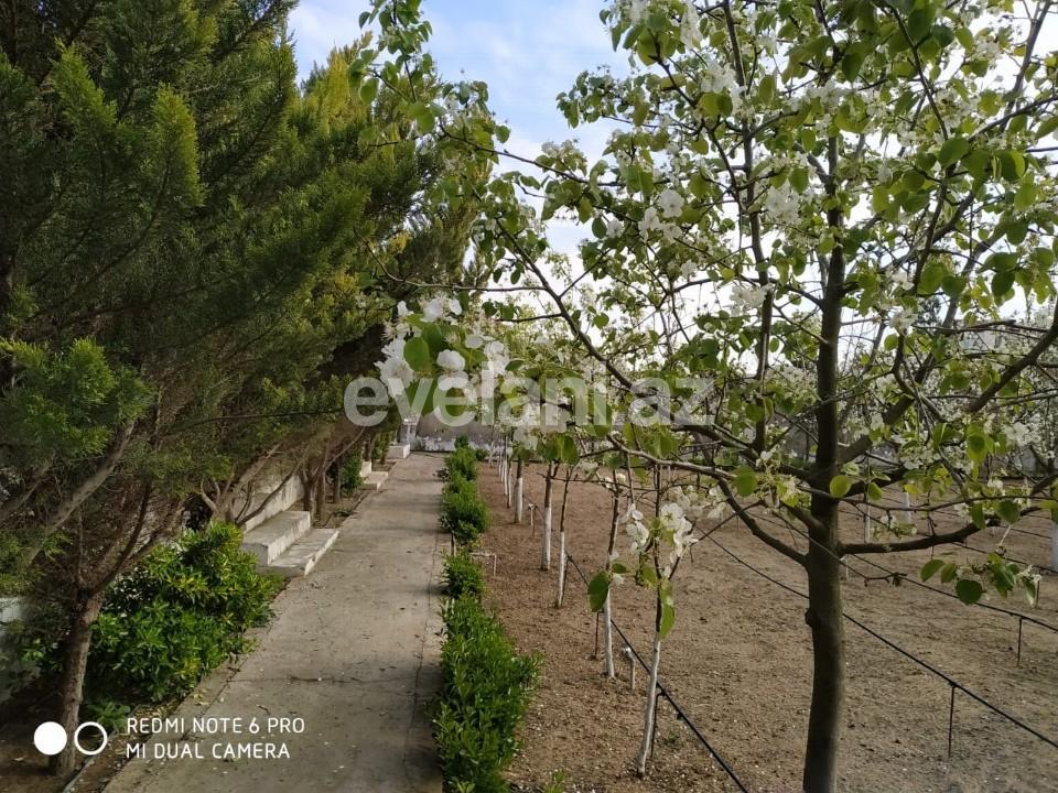 Sale, land, 150 ar, Bilgah d.