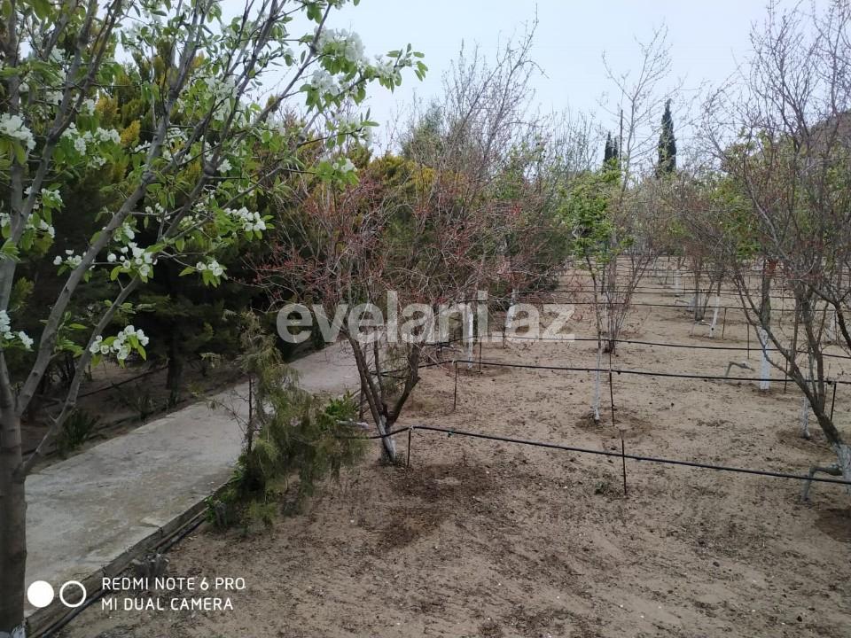 Sale, land, 150 ar, Bilgah d.