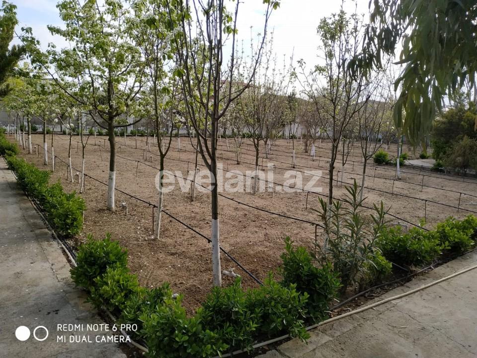 Sale, land, 150 ar, Bilgah d.