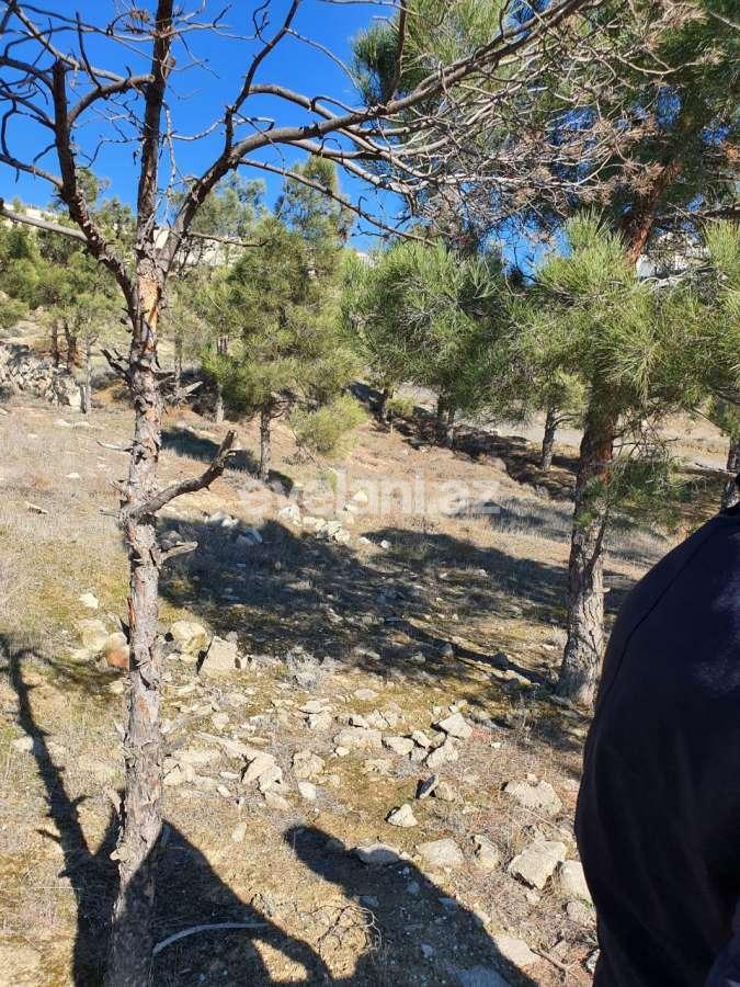 Sale, land, 24 ar, Bayil d.