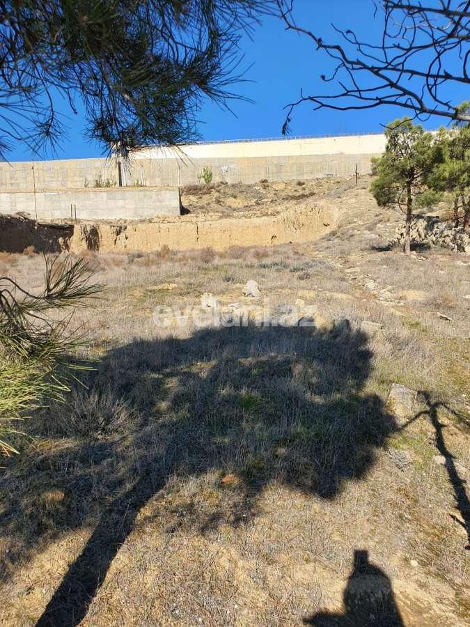 Sale, land, 24 ar, Bayil d.