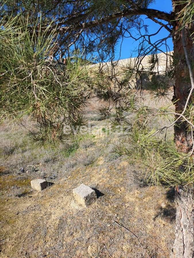 Sale, land, 24 ar, Bayil d.