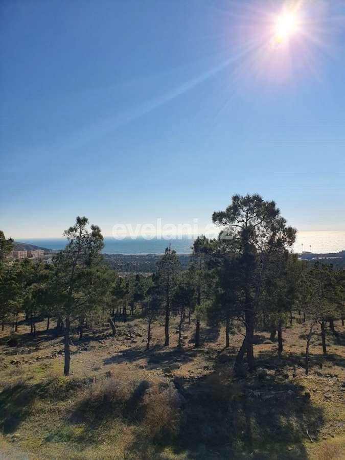 Sale, land, 24 ar, Bayil d.