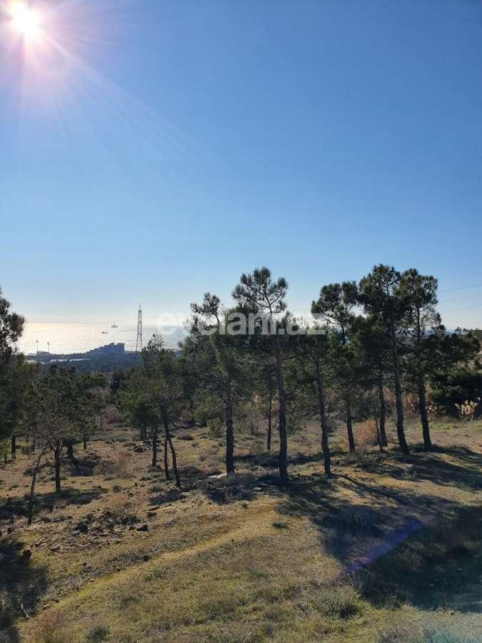 Sale, land, 24 ar, Bayil d.