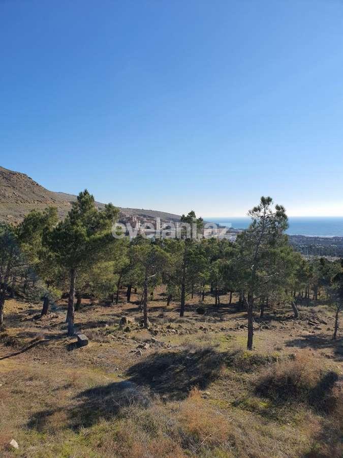 Sale, land, 24 ar, Bayil d.