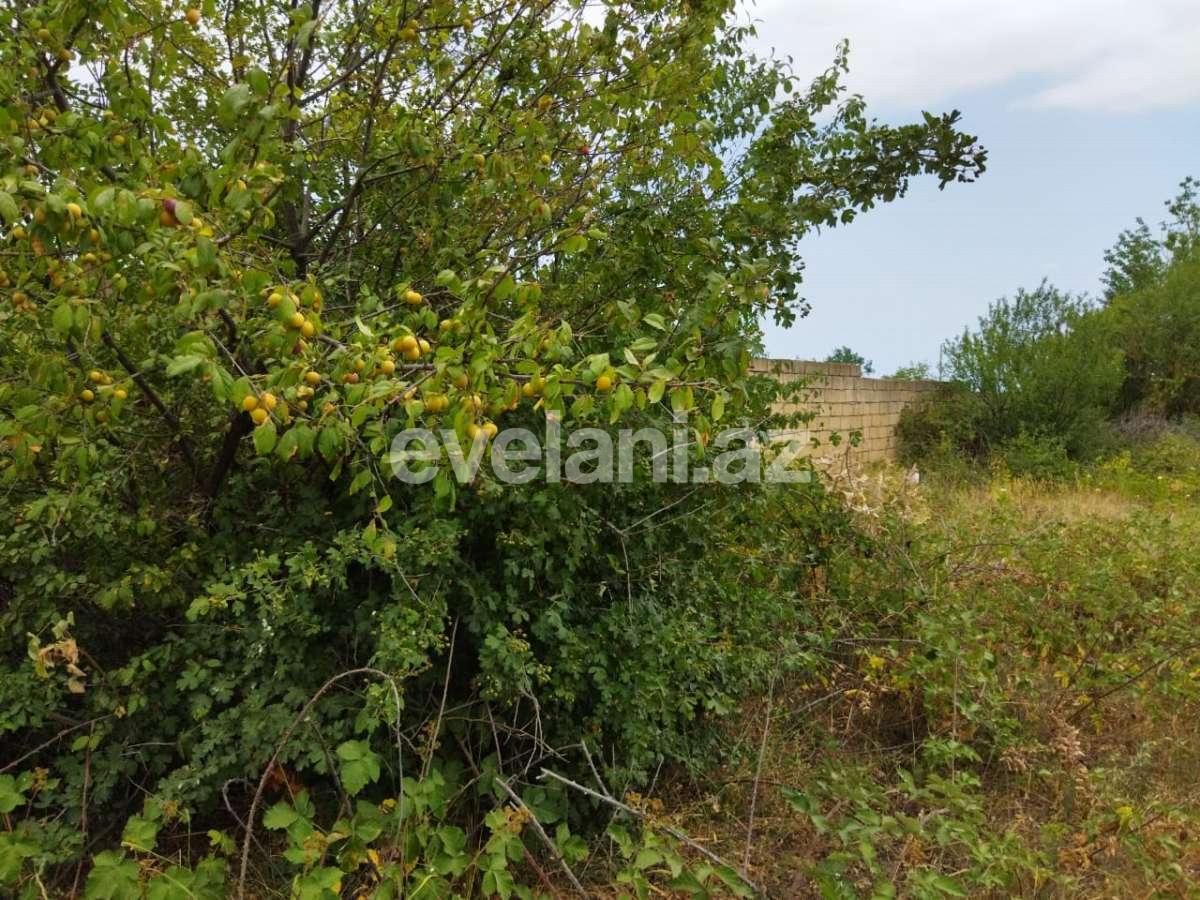 Sale, land, 14 ar, Guba