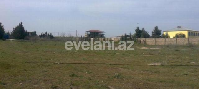 Satılır, torpaq, 100 sot, Nardaran q.