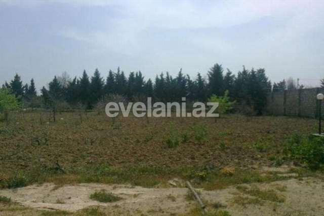 Satılır, torpaq, 100 sot, Nardaran q.