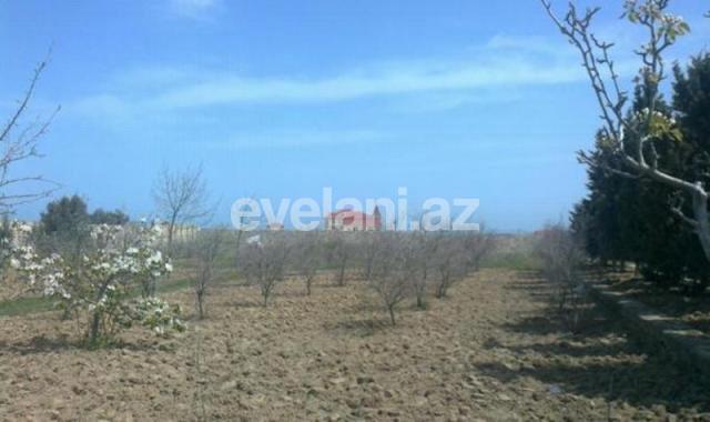 Satılır, torpaq, 100 sot, Nardaran q.