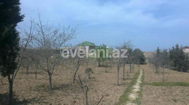 Satılır, torpaq, 100 sot, Nardaran q.