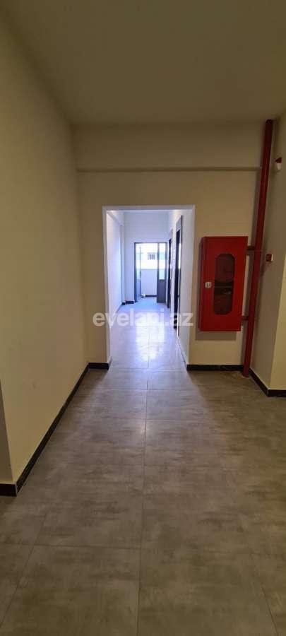 Kirayə verilir, yeni tikili, 2 otaqlı, 50 m², Nəsimi r.