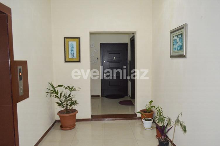 Satılır, yeni tikili, 3 otaqlı, 120 m², Şah İsmayıl Xətai m.