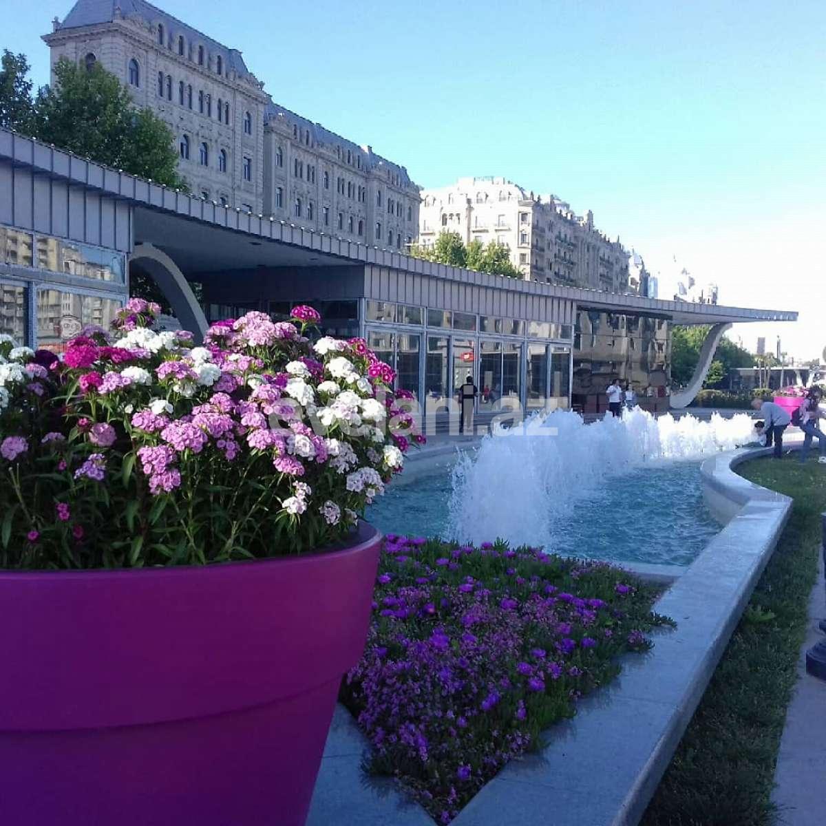 Satılır, yeni tikili, 4 otaqlı, 250 m², Nəsimi r.