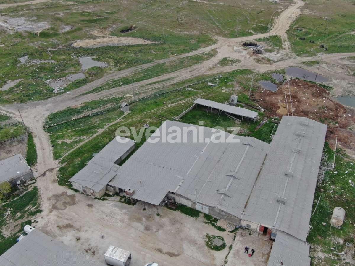 Satılır, torpaq, 200 sot, Novxanı q.