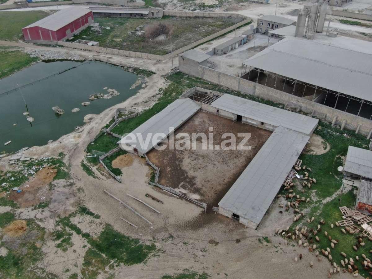 Satılır, torpaq, 200 sot, Novxanı q.