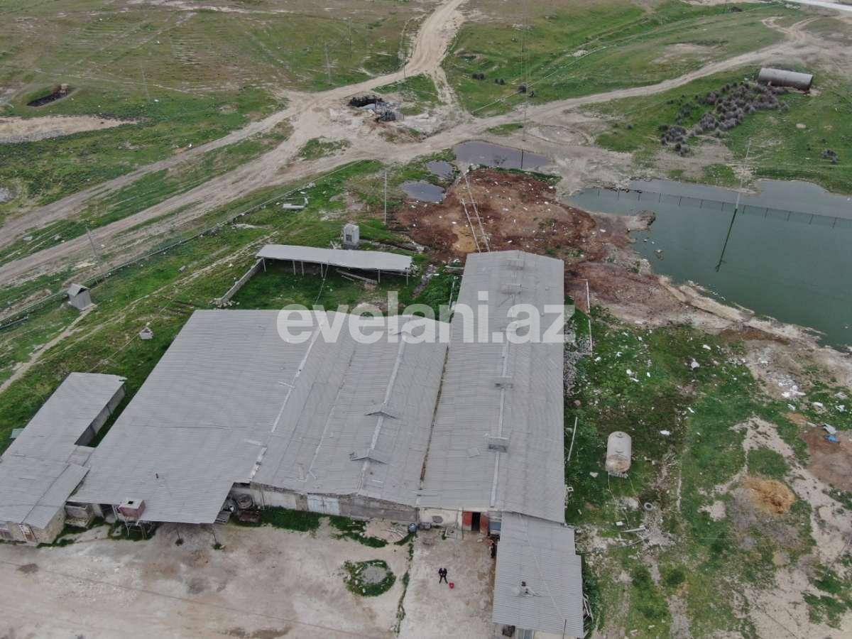 Satılır, torpaq, 200 sot, Novxanı q.