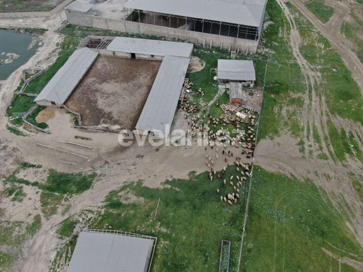 Satılır, torpaq, 200 sot, Novxanı q.