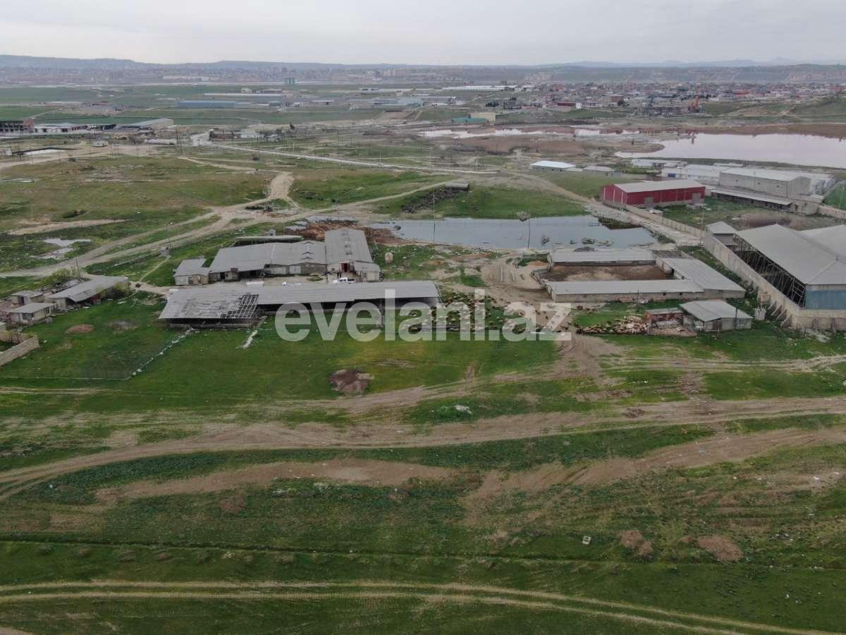 Satılır, torpaq, 200 sot, Novxanı q.