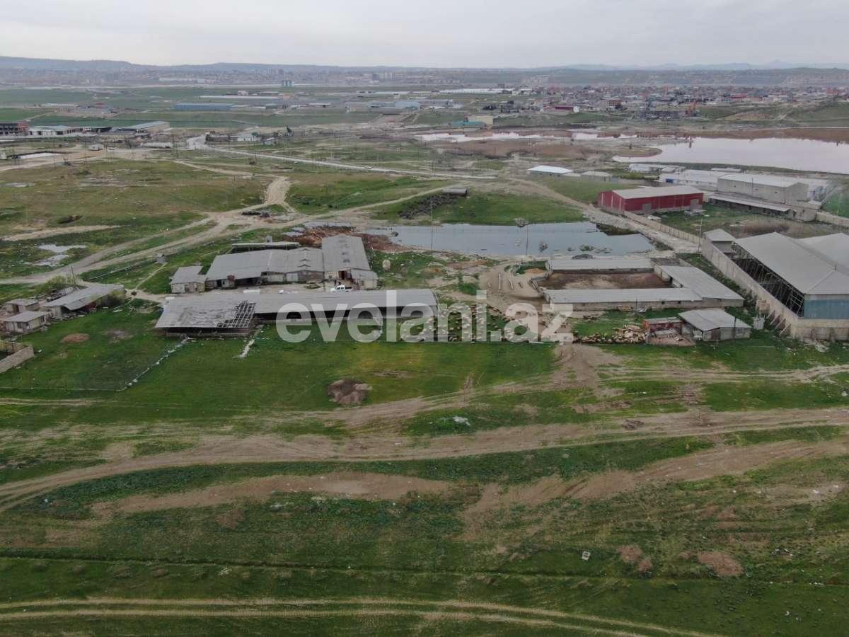 Satılır, torpaq, 200 sot, Novxanı q.