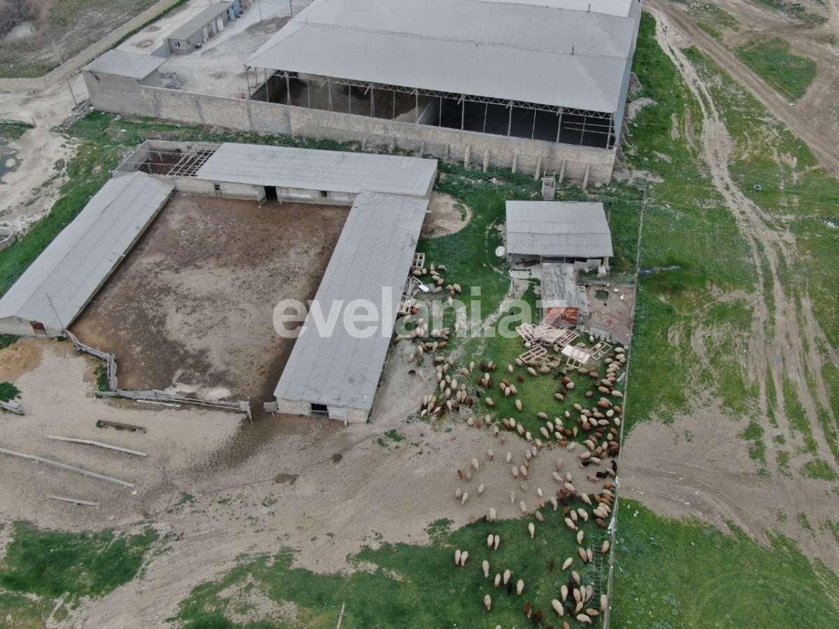 Satılır, torpaq, 200 sot, Novxanı q.