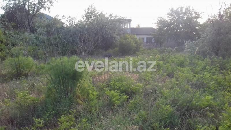 Satılır, torpaq, 31 sot, Novxanı q.