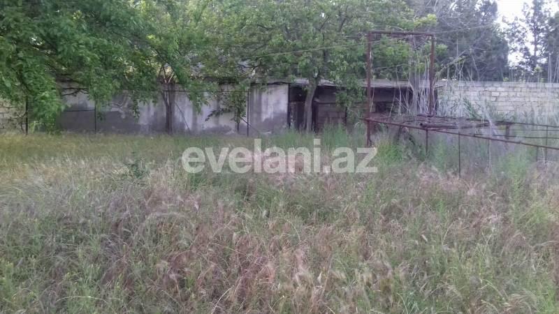 Satılır, torpaq, 31 sot, Novxanı q.