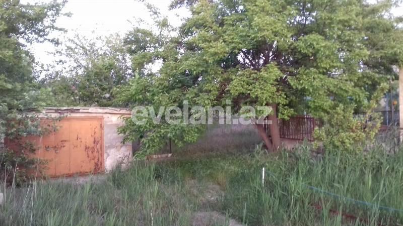 Satılır, torpaq, 31 sot, Novxanı q.