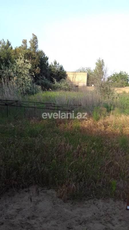 Satılır, torpaq, 31 sot, Novxanı q.