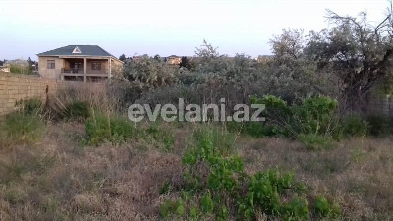 Satılır, torpaq, 31 sot, Novxanı q.