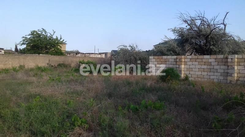 Satılır, torpaq, 31 sot, Novxanı q.