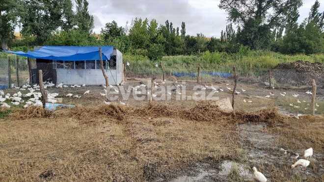 Satılır, torpaq, 200 sot, Qusar