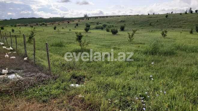 Satılır, torpaq, 200 sot, Qusar