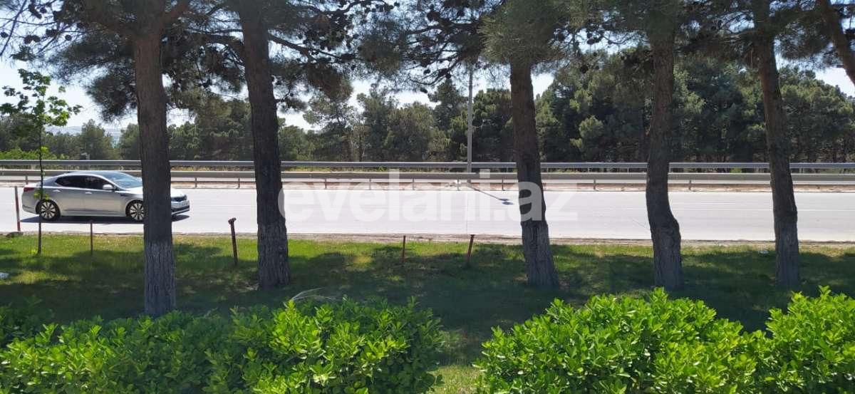 Satılır, torpaq, 100 sot, Saray q.