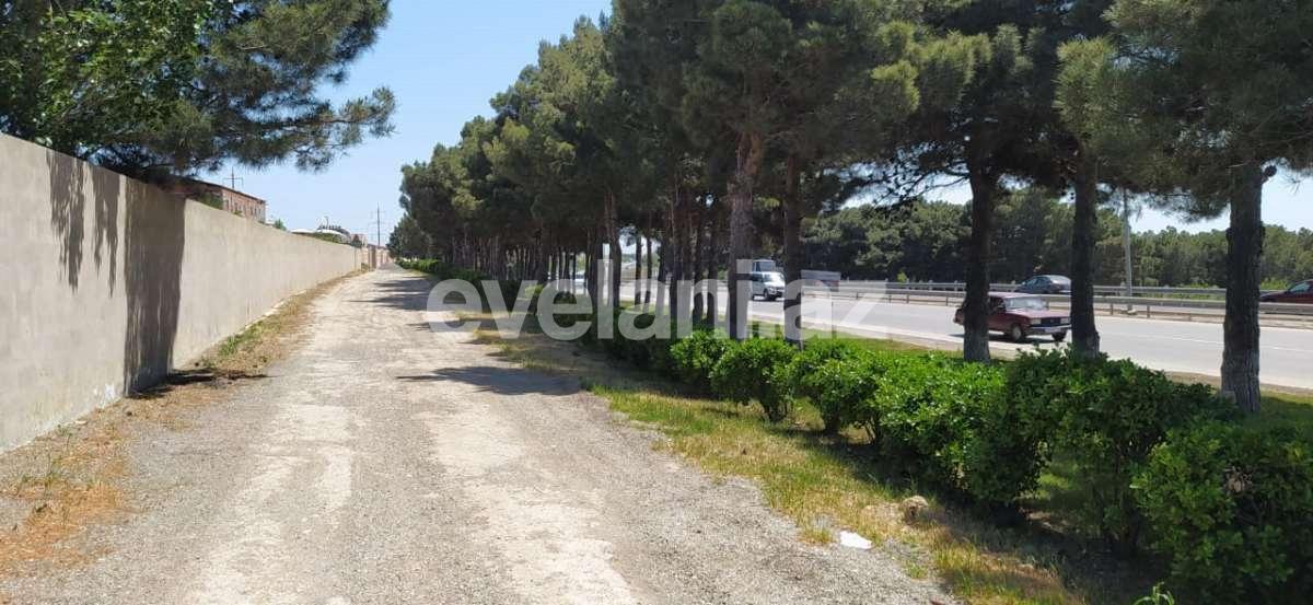 Satılır, torpaq, 100 sot, Saray q.