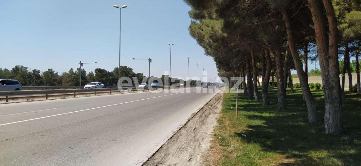 Satılır, torpaq, 100 sot, Saray q.