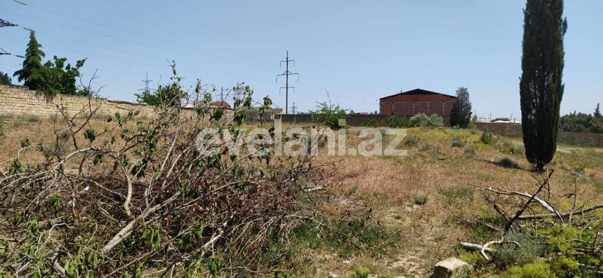 Satılır, torpaq, 100 sot, Saray q.