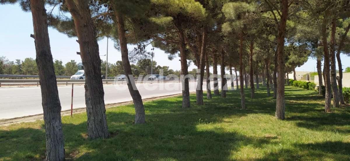 Satılır, torpaq, 100 sot, Saray q.