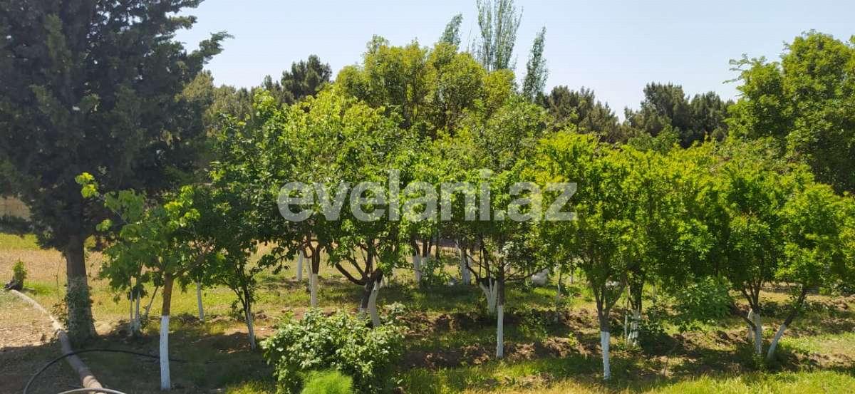 Satılır, torpaq, 100 sot, Saray q.