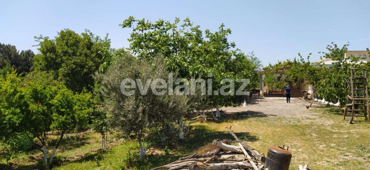 Satılır, torpaq, 100 sot, Saray q.