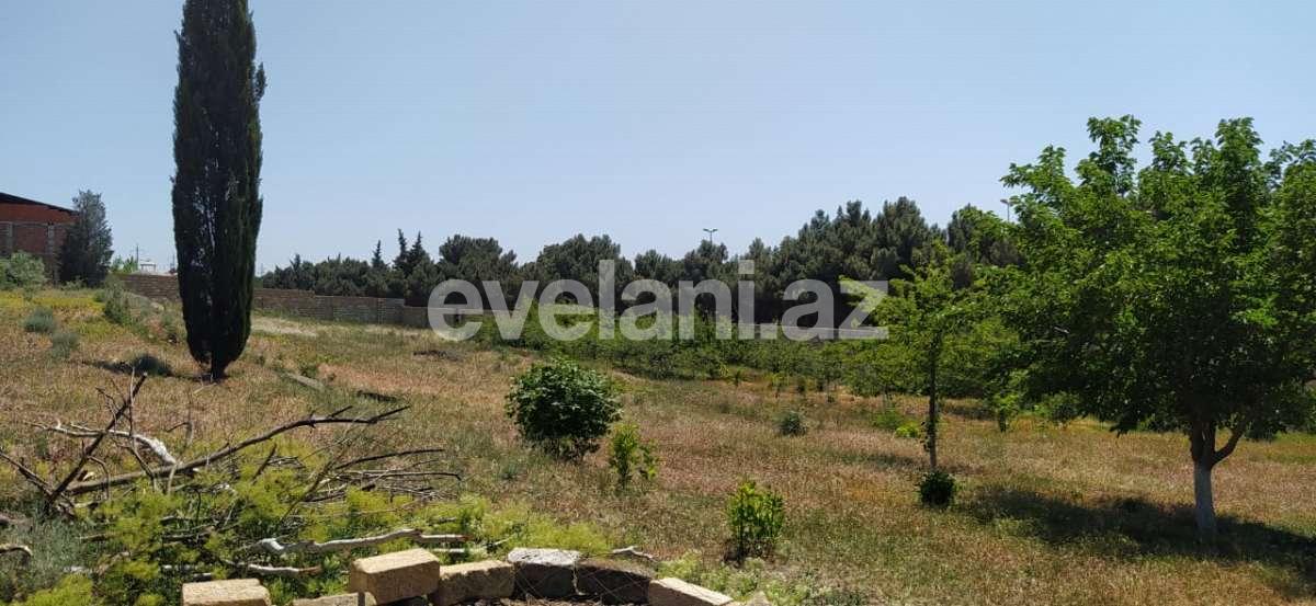 Satılır, torpaq, 100 sot, Saray q.