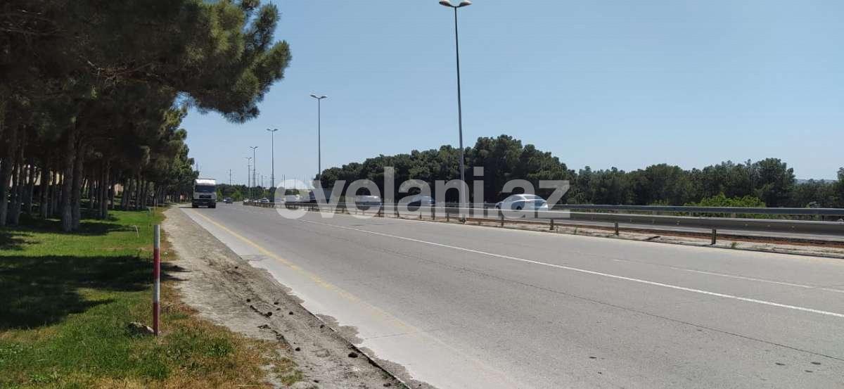 Satılır, torpaq, 100 sot, Saray q.