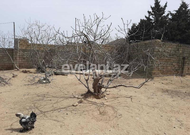 Продаётся, участок, 6.7 сот, Автовокзал m.