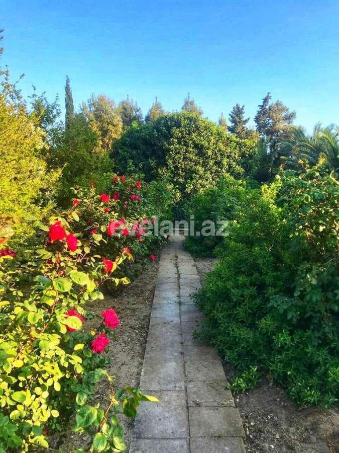 Satılır, torpaq, 20 sot, Bilgəh q.