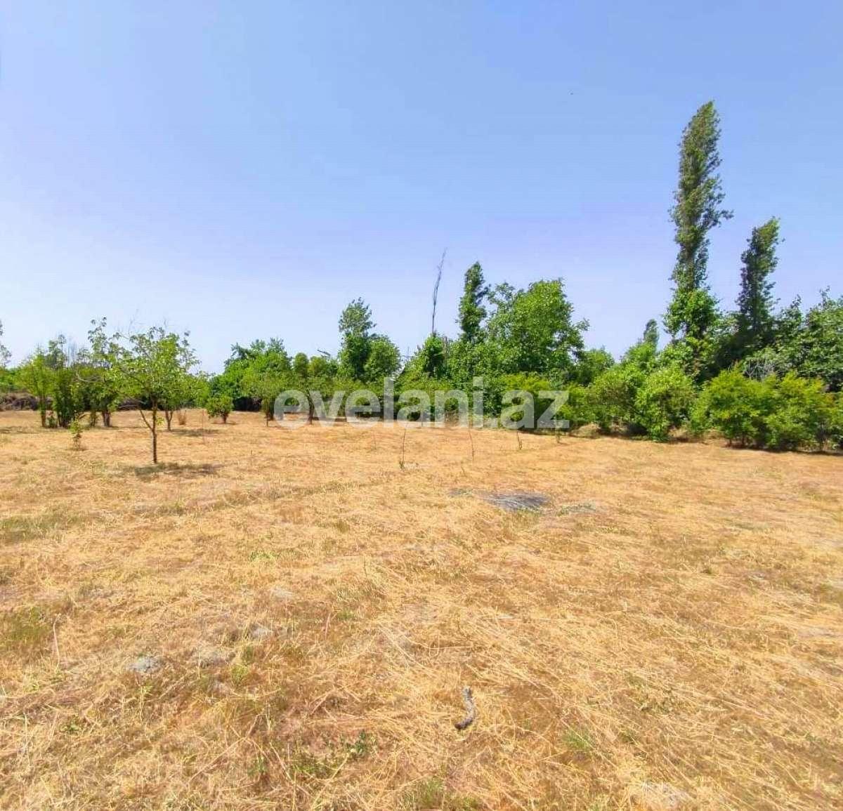 Satılır, torpaq, 28 sot, Göyçay