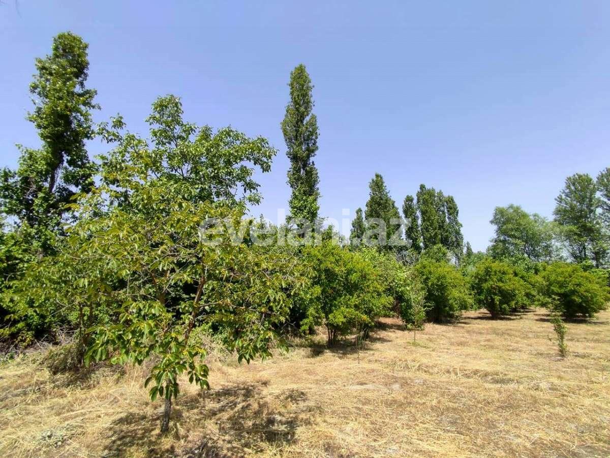 Satılır, torpaq, 28 sot, Göyçay