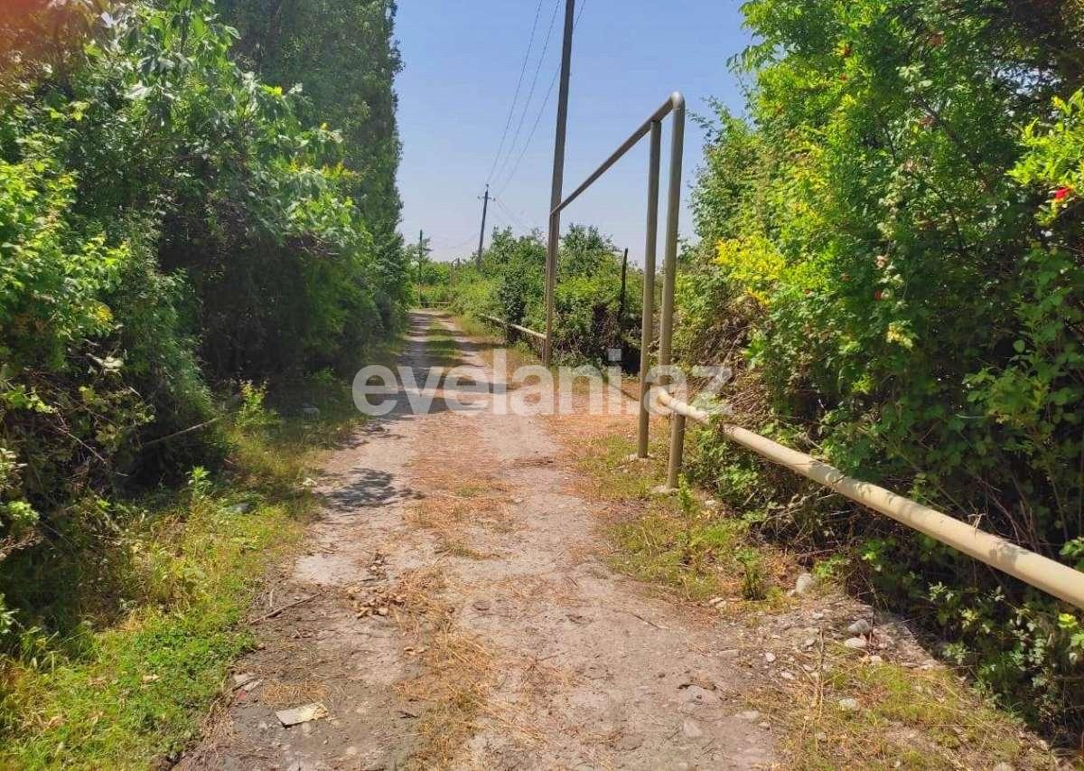 Satılır, torpaq, 28 sot, Göyçay