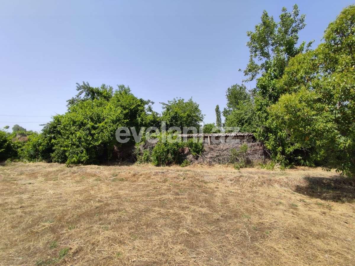 Satılır, torpaq, 28 sot, Göyçay